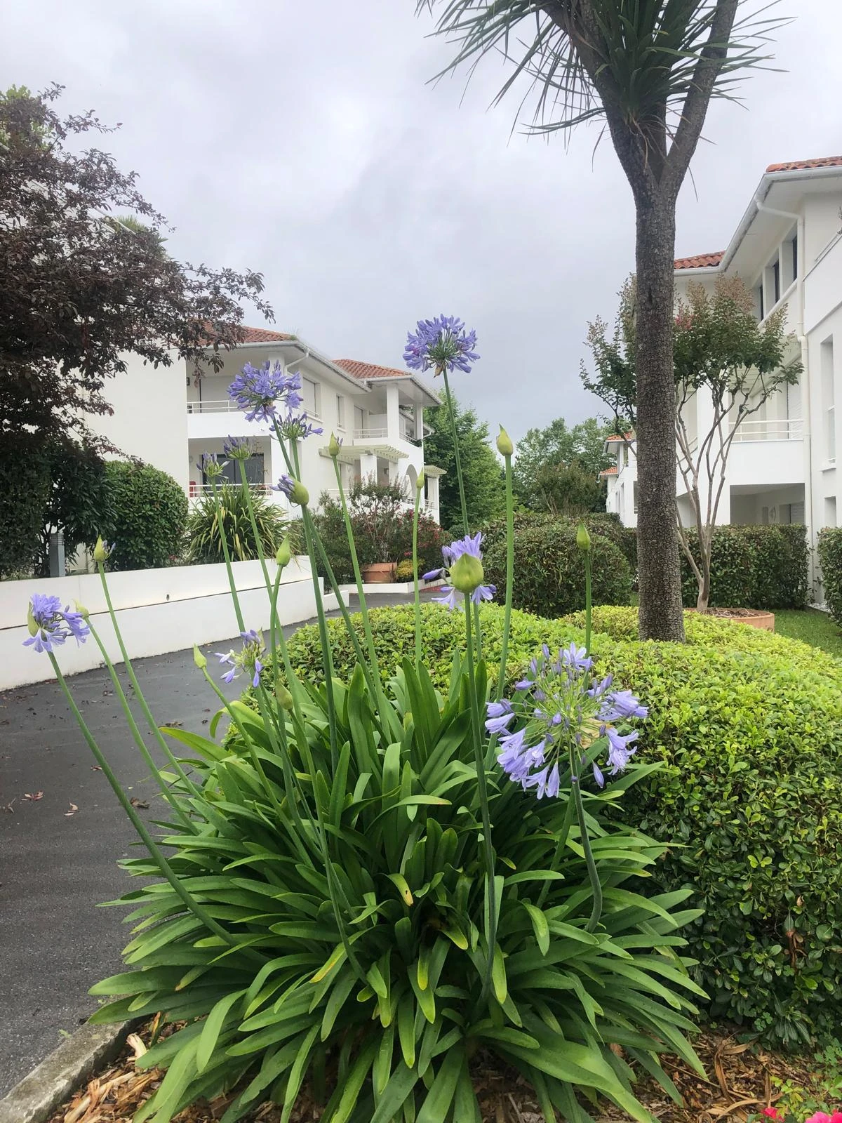 Appartement T3 – Vendu